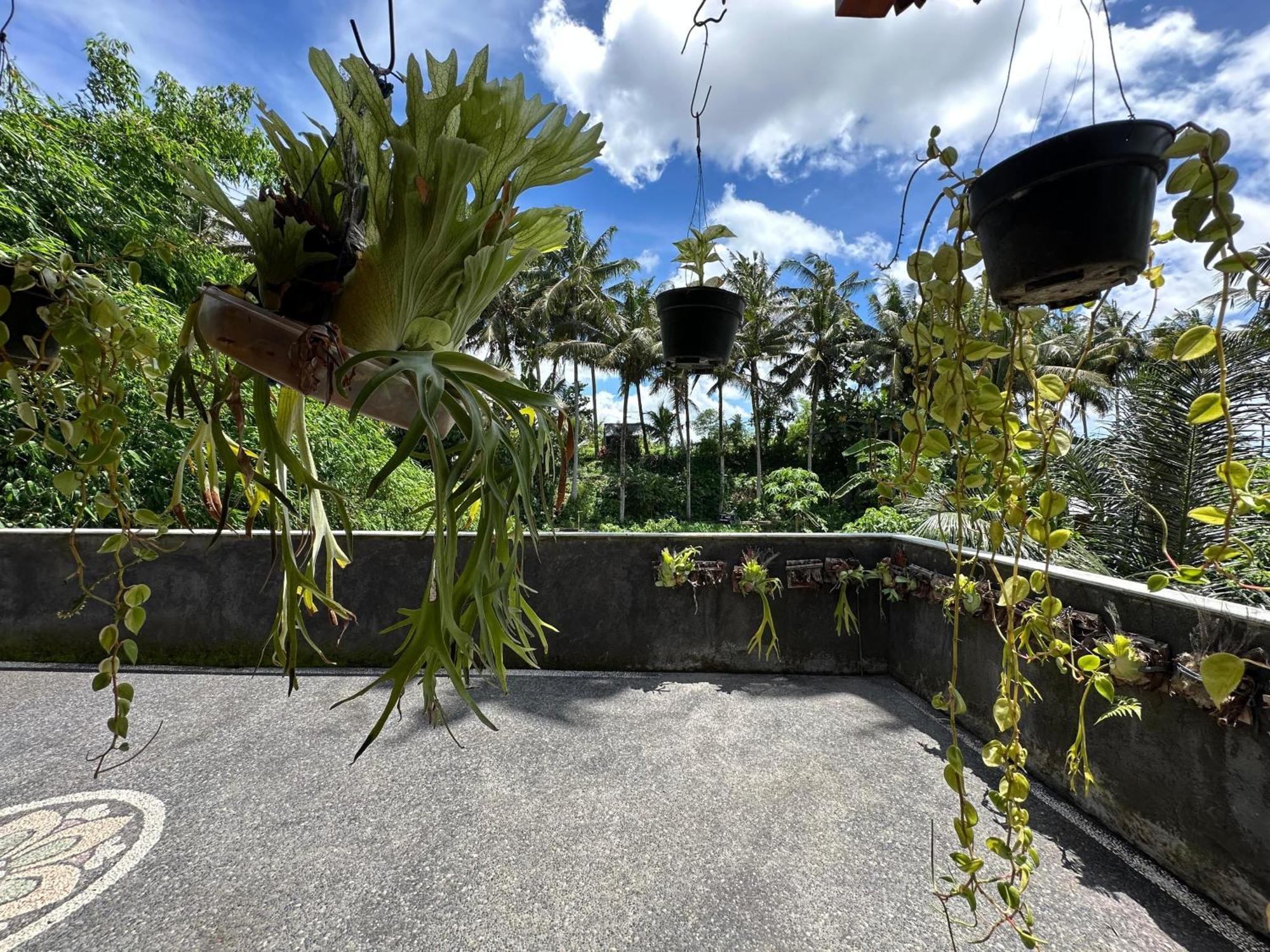 Tagel Karsa House Hotel Ubud Eksteriør billede