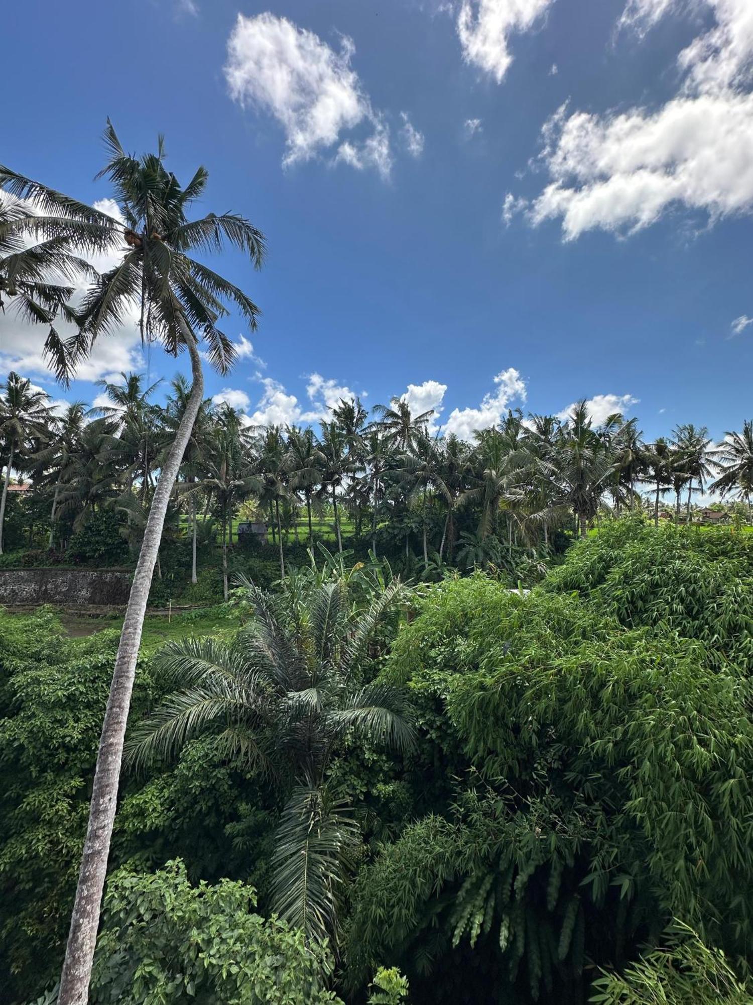 Tagel Karsa House Hotel Ubud Eksteriør billede